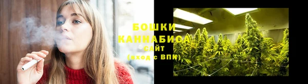 ГАЛЛЮЦИНОГЕННЫЕ ГРИБЫ Алзамай