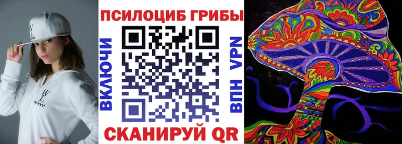 ссылка на мегу как зайти Калтан мориарти формула Псилоцибиновые грибы Psilocybe